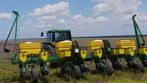 More rain, less sorghum