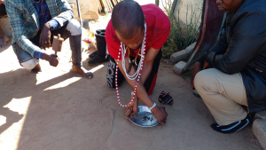 DIS bring back Rabeisane