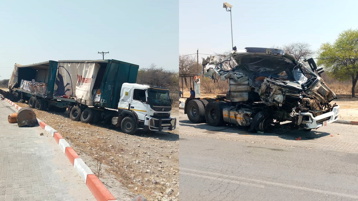 Trucker perishes in Nata road accident
