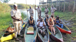 Eyeballing the king of the jungle