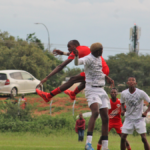 Tafic tie down stars