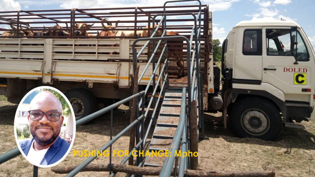 Okavango cattle farmers cash in - Vimarsana News