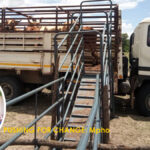 Okavango cattle farmers cash in