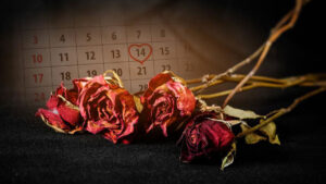 Valentine's day tragedy