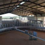 BDC seeks partner for Milk Afric