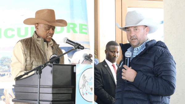 GOVT spent p25million on Texan cattle