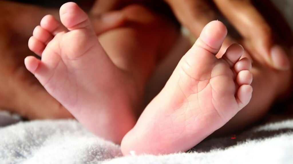 Two baby girls found abandoned - Vimarsana News