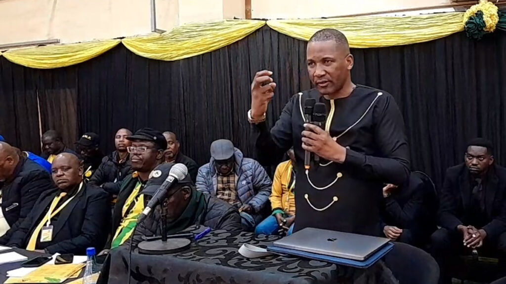 Boko urges voters to assist Madibelathopho - Vimarsana News