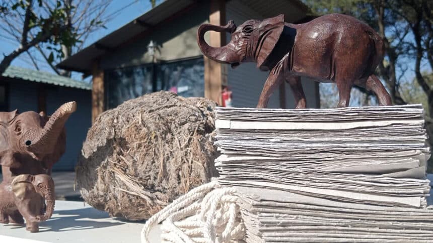 Turning dung into dough