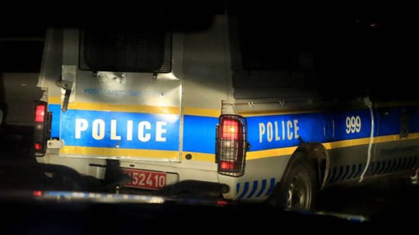 Cops gun down car thief