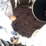 For the love of farming