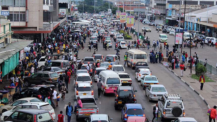 Letter from Zim Life goes on