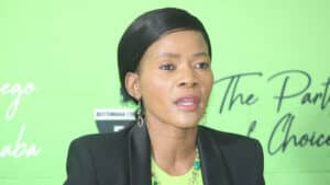 BCP primary elections, political pundints weigh in on results