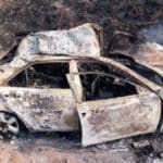 DNA needed to identify a1 car crash victim