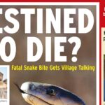 DESINED TO DIE