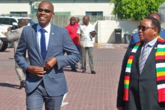 Cross border cattle rustling poses common threat to Botswana and Zimbabwe