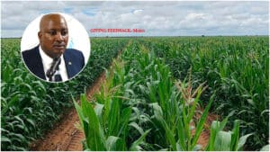 Temo letlotlo's growing pains