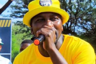 Disco legend drops album no.12