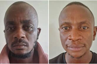 Poisoned pets, stolen combi and quick cops