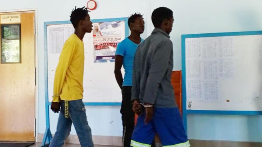 Mbwe, Thapelo and Semasiku (L-R)