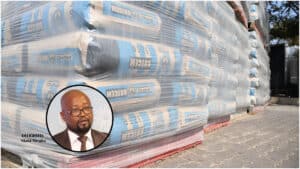 Cement production to rise by 20% before October's import cuts