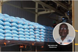 Botash look to diversify