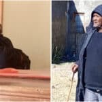 Pensioner loses home to daughter