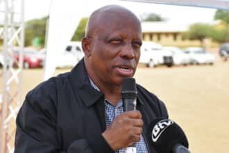This year's elections pose formidable challenge - Morwaeng