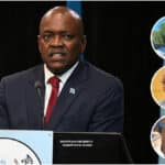 Analysts condemn Morwaeng's bill