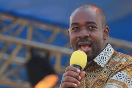 Chamisa under scrutiny