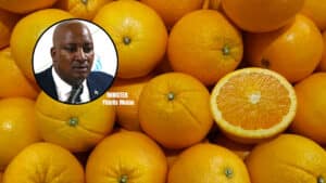 Botswana’s citrus import restriction raises concerns