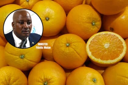 Botswana’s citrus import restriction raises concerns