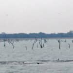 Police dismiss ritual killing rumuors in fishermen’s tragic drowning
