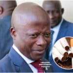 Tobacco company licensed in 2020 employs 20 citizens