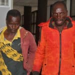 Heat on solar panel suspects