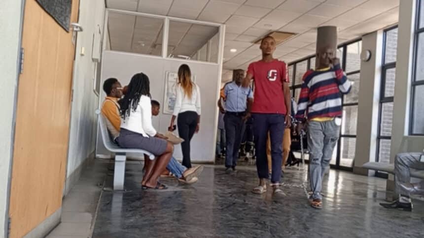 Used underwear divides siblinigs