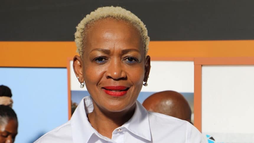 Air Botswana's new bird