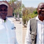 Old men, dead cat and slaughtered chickens