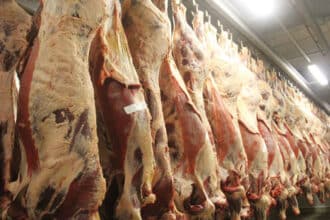 EU Introduces New Deforestation Regulations For Beef Industry