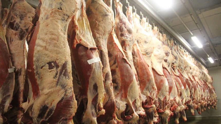 EU Introduces New Deforestation Regulations For Beef Industry