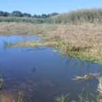 Tati river rehabilitation underway