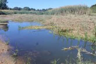 Tati river rehabilitation underway