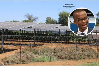 Botswana’s solar dream