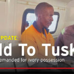 REMANDED: Moyo being taken to jail