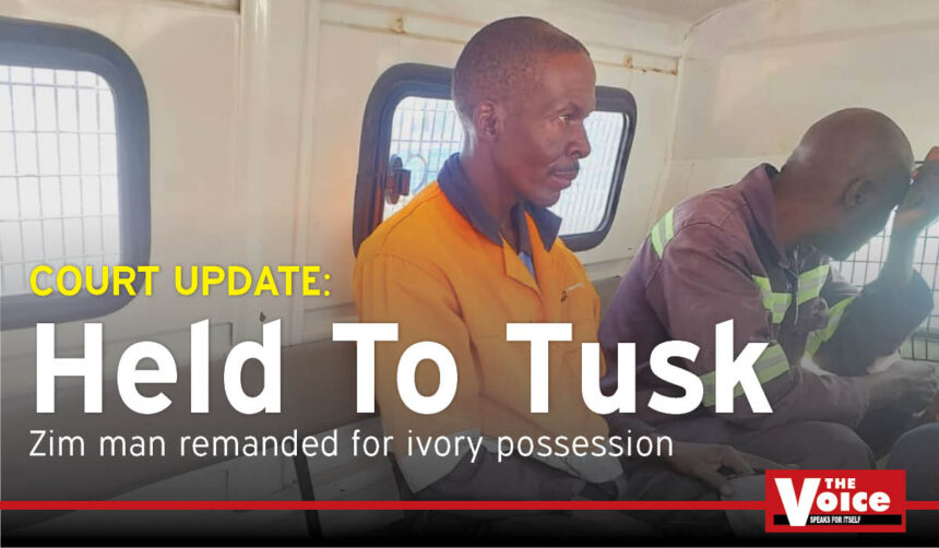 REMANDED: Moyo being taken to jail