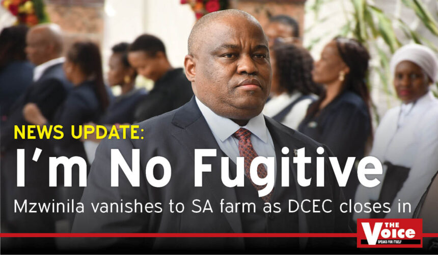Kefentse Mzwinila DCEC investigation