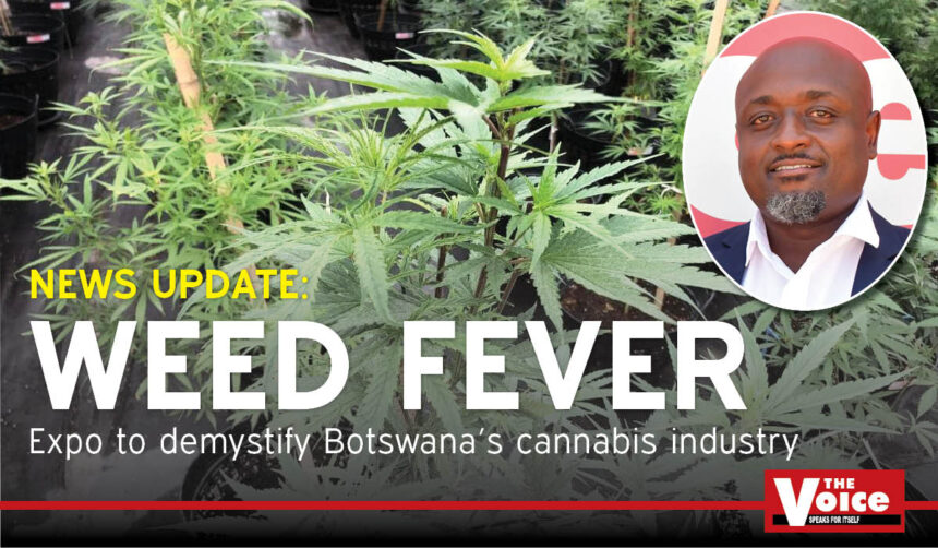 Botswana medicinal cannabis industry