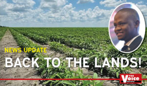 Botswana agriculture revival