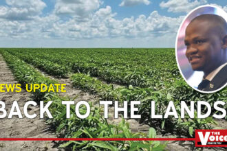 Botswana agriculture revival