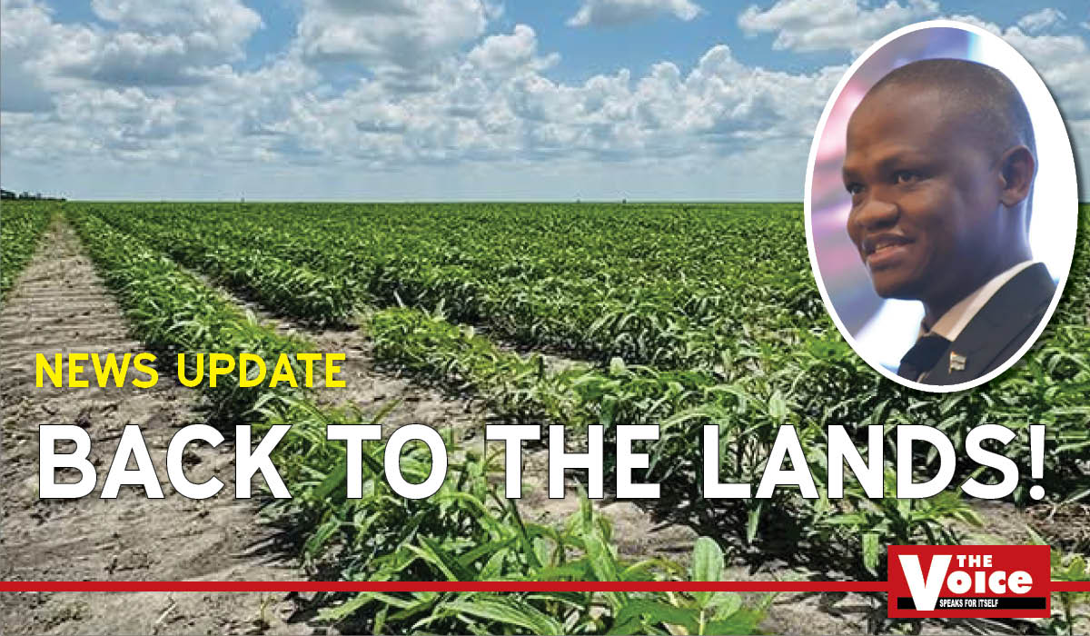 Botswana Pushes Agriculture as Diamonds Lose Dominance